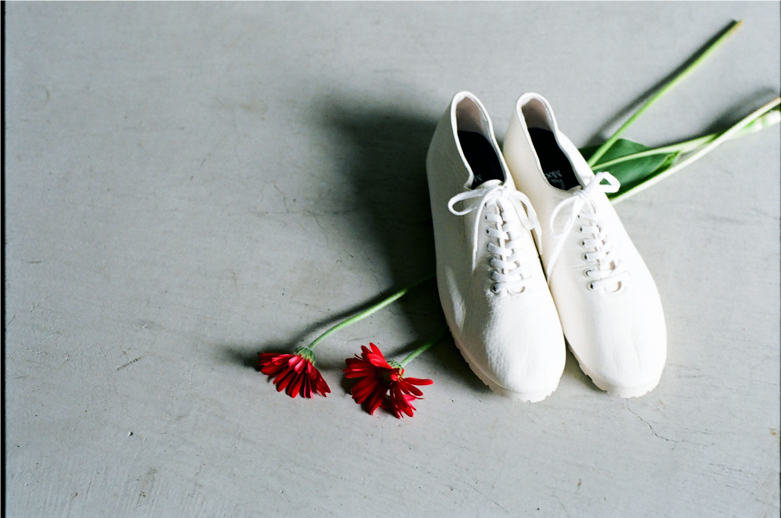 minimal white leather shoes designed for comfort and everyday wear