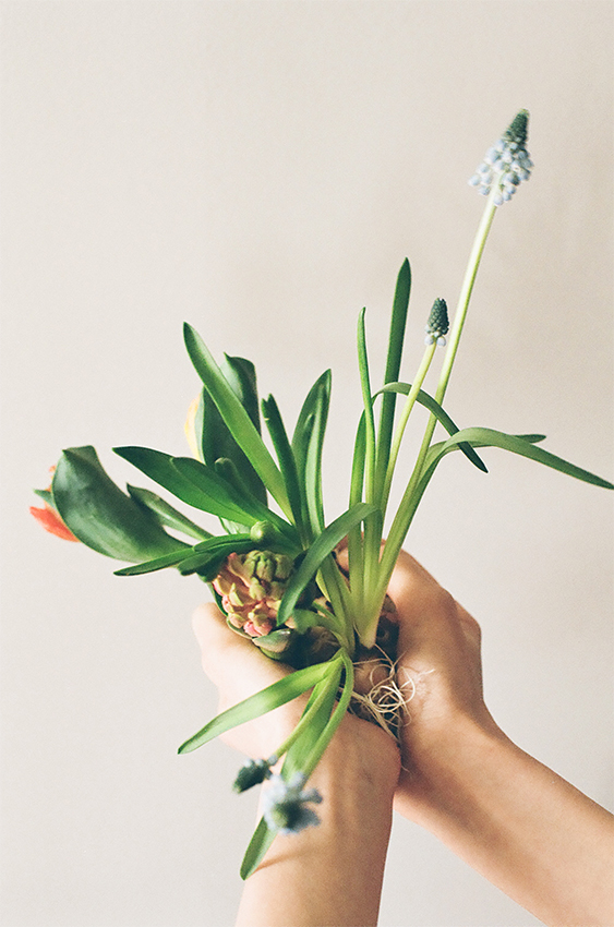 mochi 2026 spring summer natural plants in hands soft light