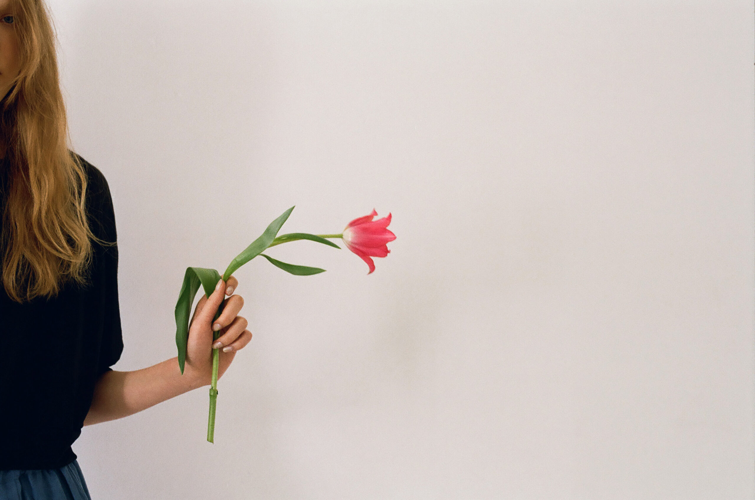 mochi 2026 spring summer tulip in hand minimal composition